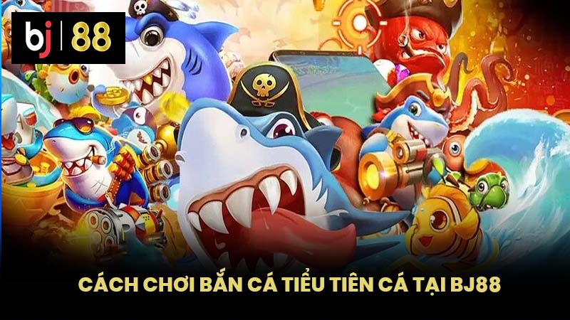 Cách Chơi Bắn Cá Tiểu Tiên Cá Tại BJ88