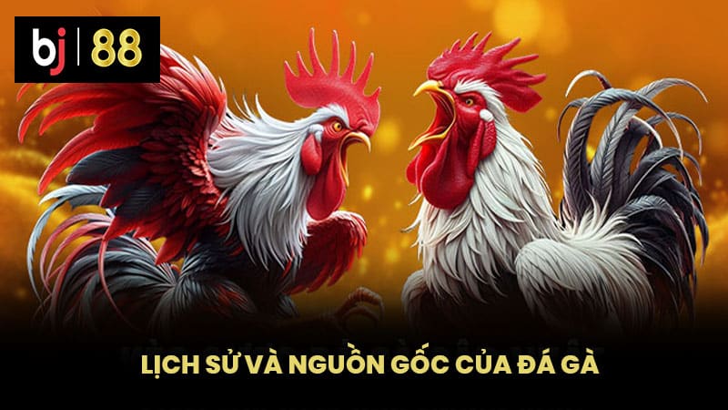 Lịch sử và Nguồn Gốc của Đá Gà