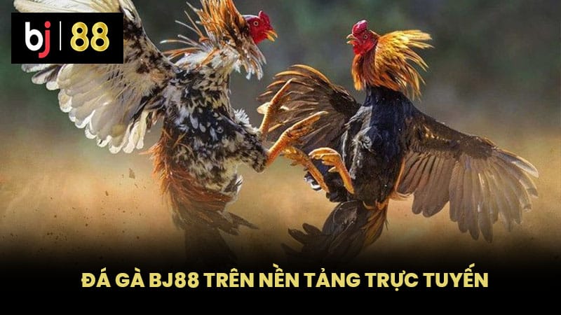 Đá gà BJ88 trên nền tảng trực tuyến