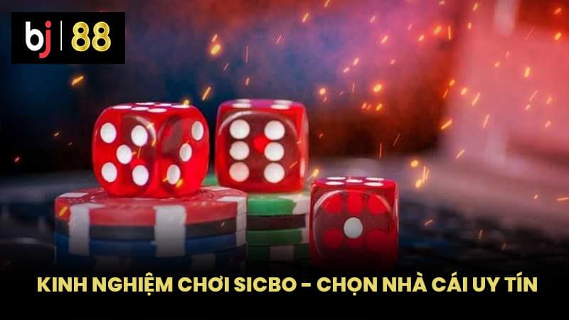 Kinh nghiệm chơi Sicbo - Chọn nhà cái uy tín 